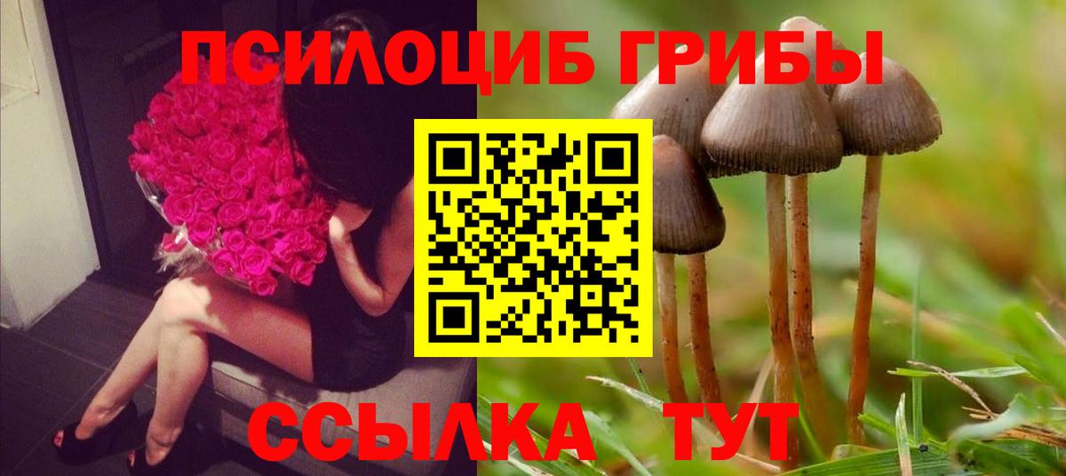 Аша  Псилоцибиновые грибы мицелий  Вход с VPN  Псилоцибиновые грибы Magic Shrooms 